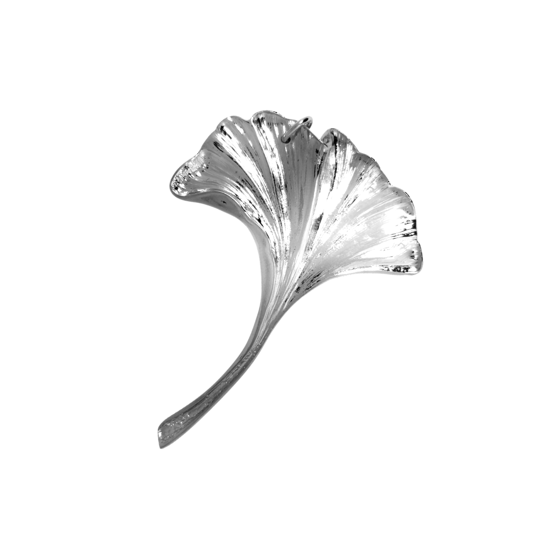 Gingko Leaf