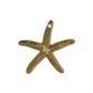 Starfish