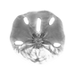 Sand Dollar